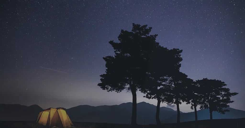 Seoul Grand Park Natural Campground