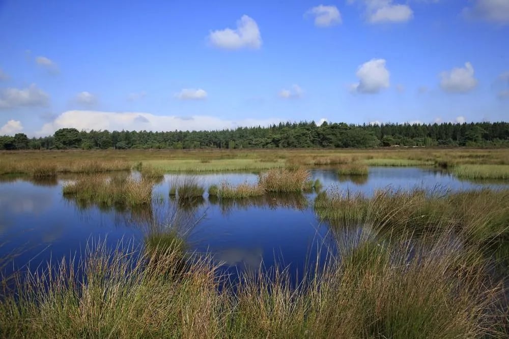 Camping Hondsrug gallery 2