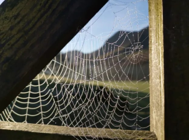 Syke Farm gallery 1
