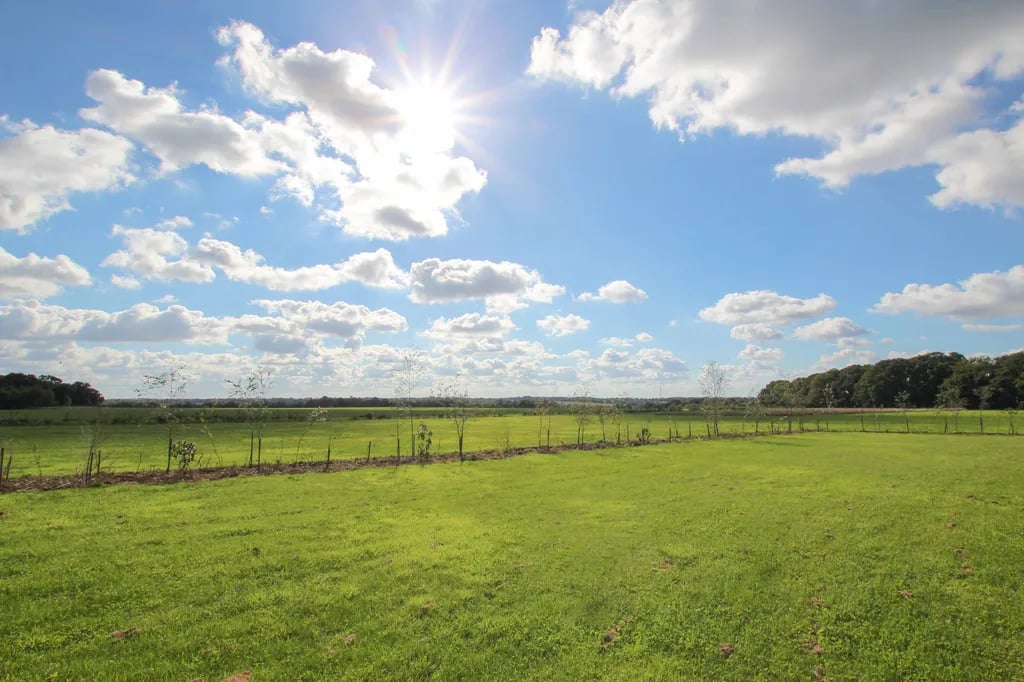 Bylaugh Country Park gallery 2