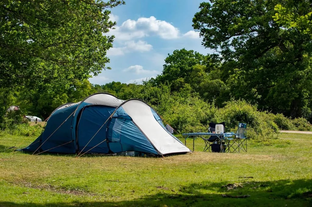 Ashurst Caravan and Camping Site gallery 2