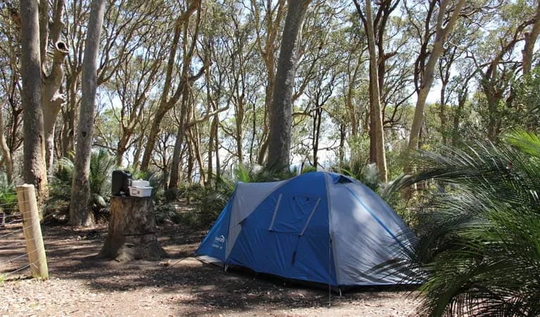 North Head campground gallery 1
