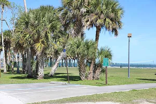 Manatee Hammock Campground gallery 3