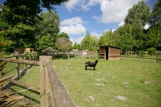 Camping Haliotis gallery 2