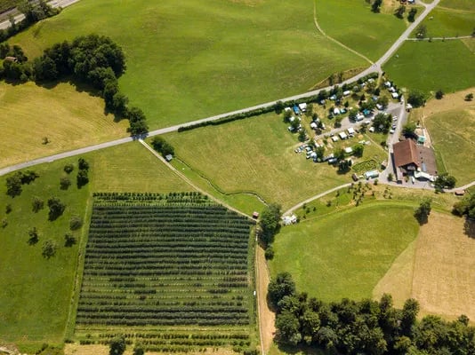 Erlebnisbauernhof & Camping Gerbe gallery 3