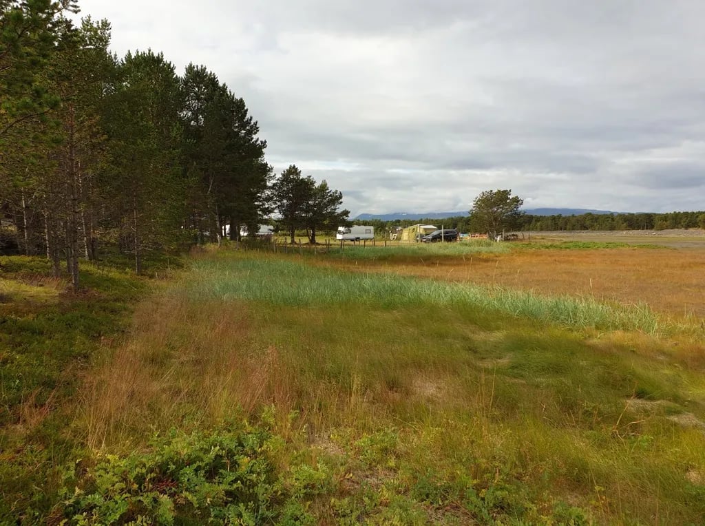 Solvang Camping gallery 2