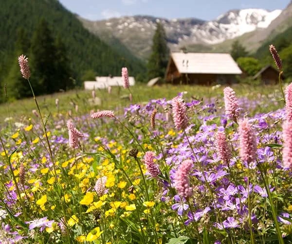 Huttopia Vallouise gallery 2