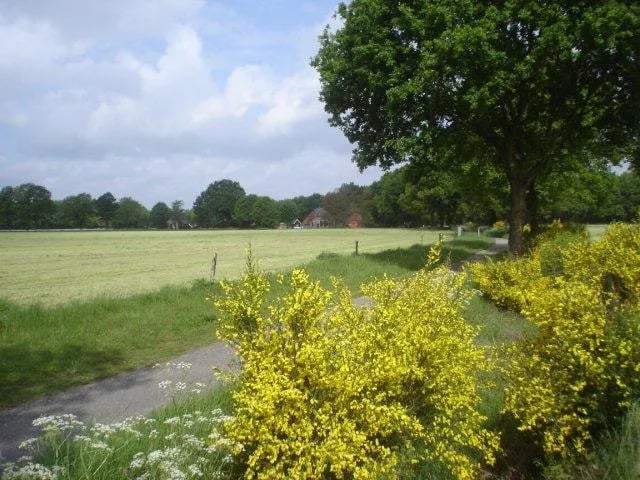 Camping De Coolewee gallery 1