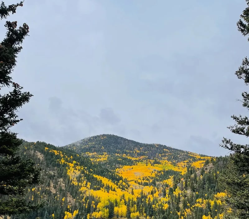4K River Ranch gallery 1