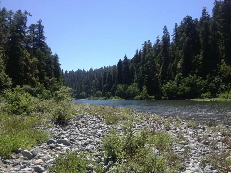 Sea Bird RV Park gallery 1