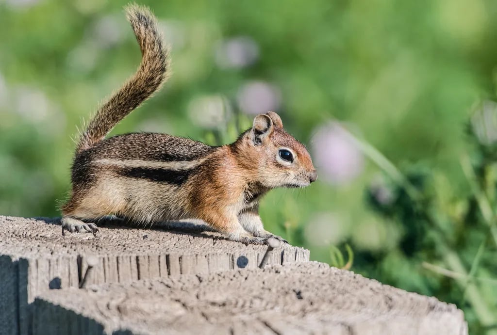 Paonia State Park Campground gallery 1