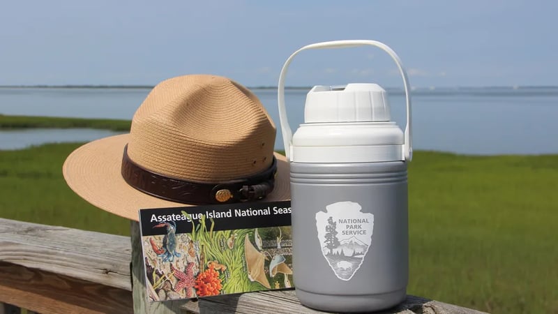 Assateague Island National Seashore