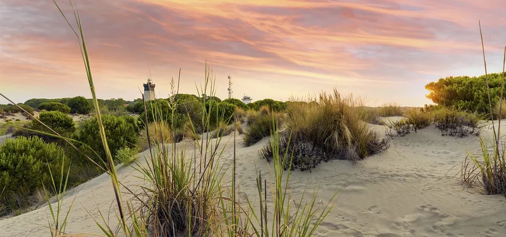 Camping De L’Espiguette gallery 2