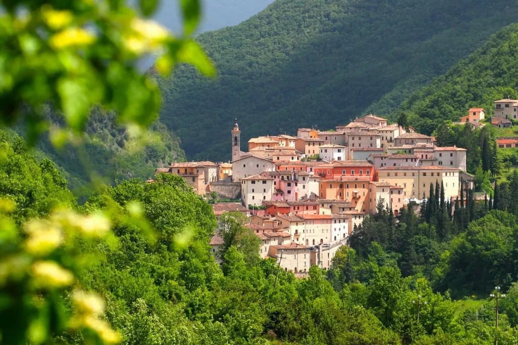 Campeggio Il Collaccio gallery 3