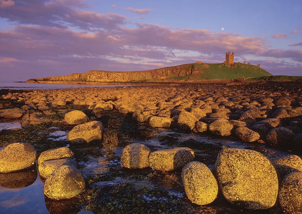 Proctors Stead Caravan Park gallery 1