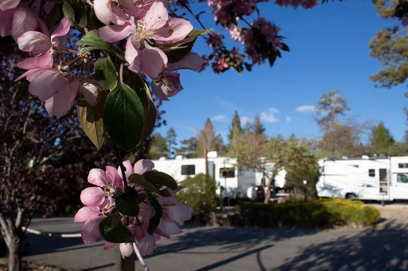 Holloway’s Marina & RV Park gallery 3