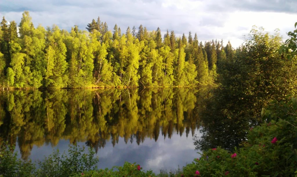 Dalarna Älvcamping gallery 2