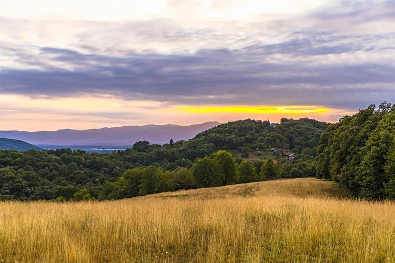 Heart of Nature Family Camp gallery 2