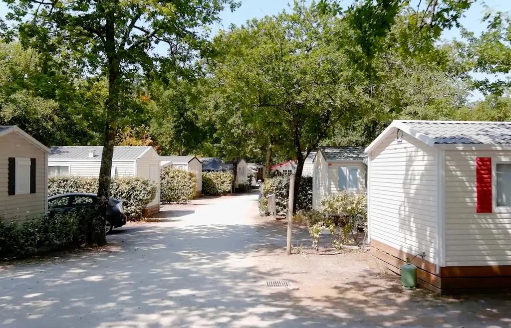 Flower Camping la Canadienne gallery 2