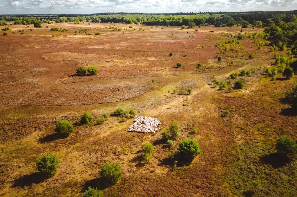 Recreatiecentrum Hunzepark gallery 1