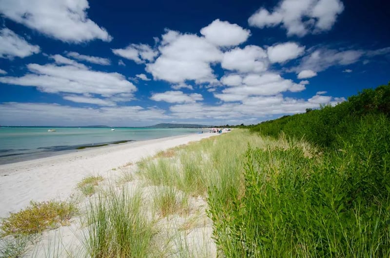 Rosebud Foreshore Camping – Section 11