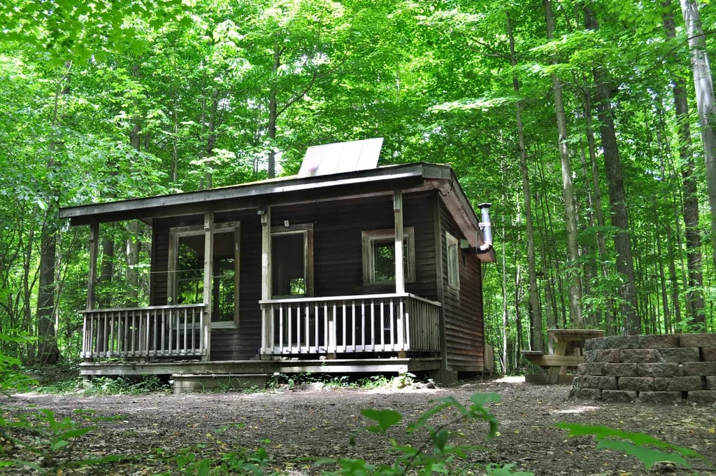 Sawdust FarmCamp gallery 3