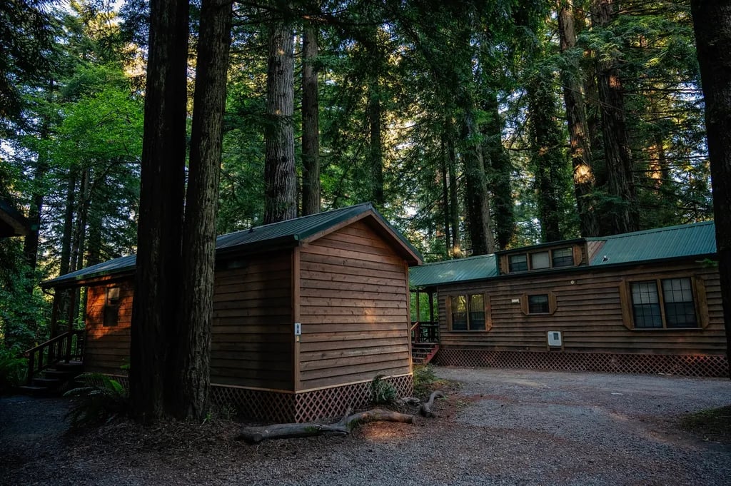 Ramblin’ Redwoods Campground & RV Park gallery 2