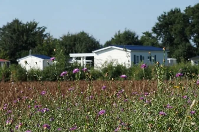 Camping de Kreekoever gallery 2