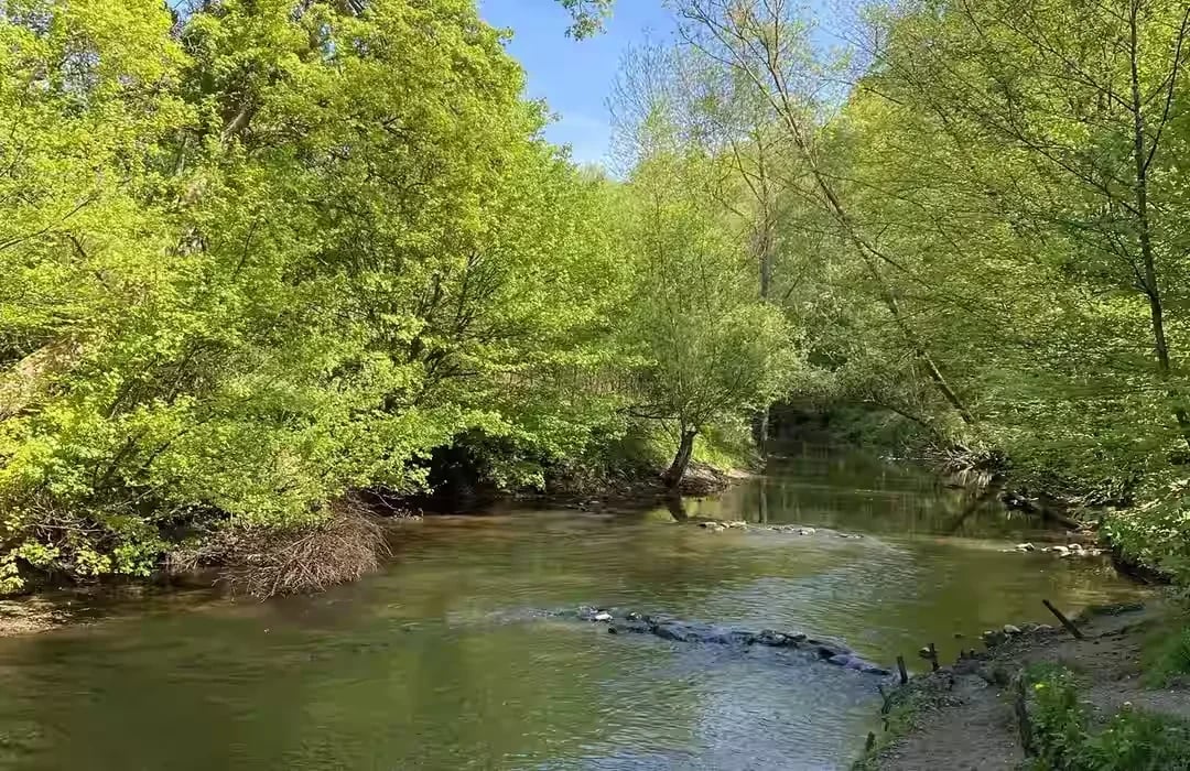 Campingplatz Bredenbeker Teich gallery 2