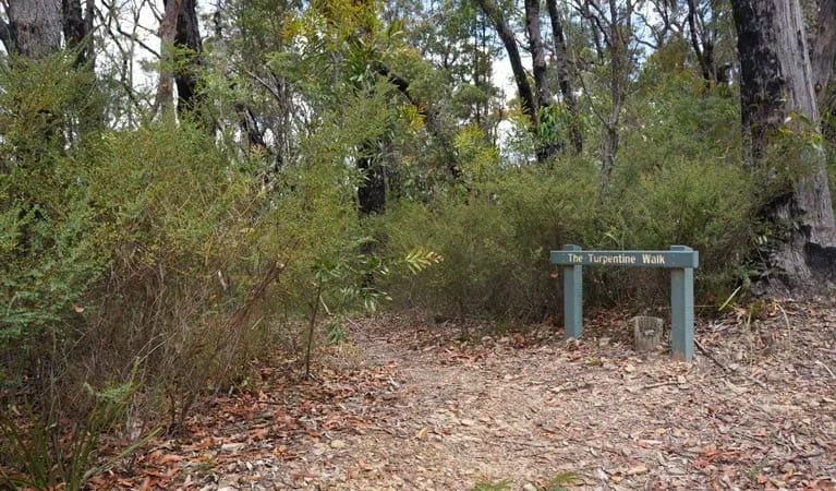 Murphys Glen Campground gallery 2