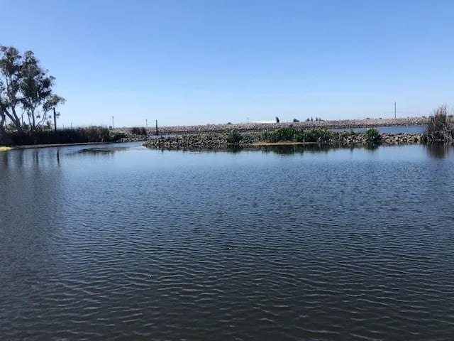 Turner Cut Resort gallery 2