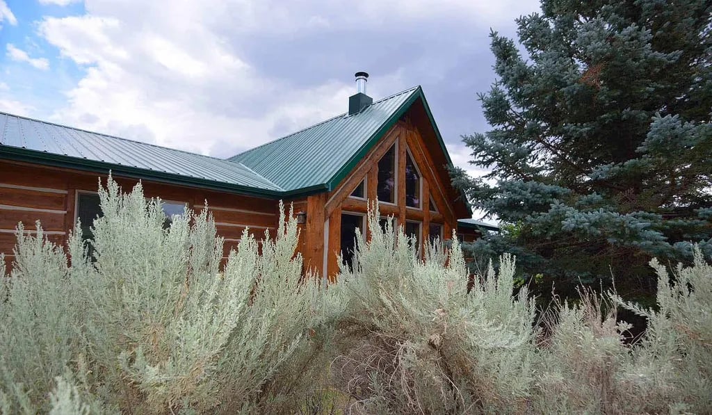 Lone Tree Campground gallery 2