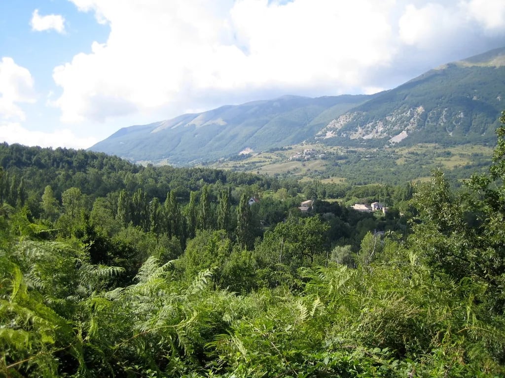 Agricampeggio Colle dei Lupi