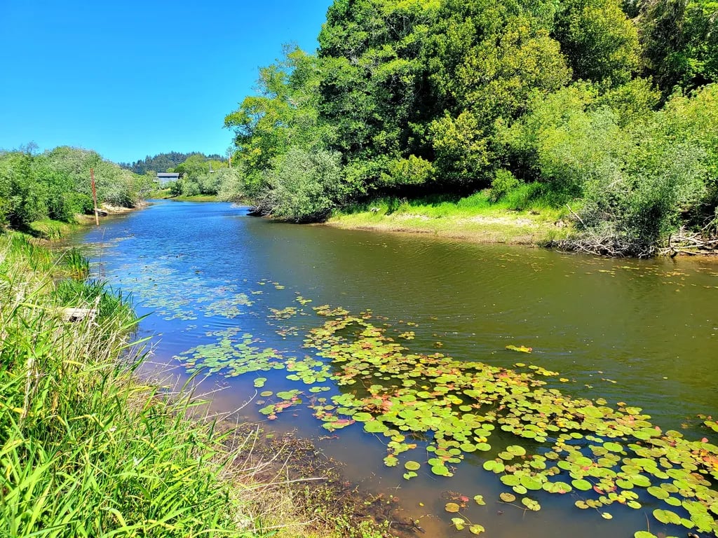 Osprey Point RV Resort gallery 1