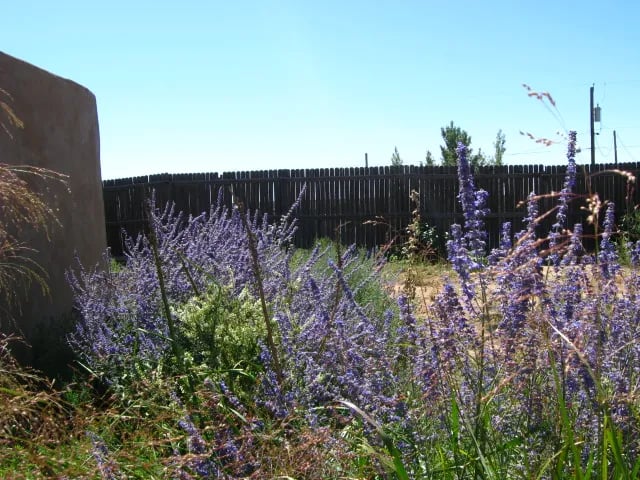 Santa Fe Skies RV Park gallery 1