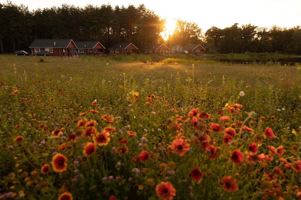 RCN de Flaasbloem gallery 2