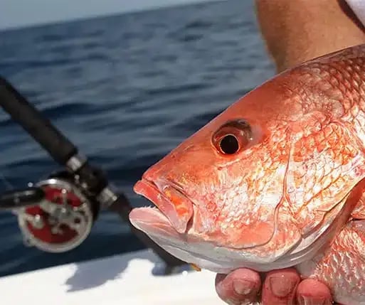 Live Oak Landing gallery 3