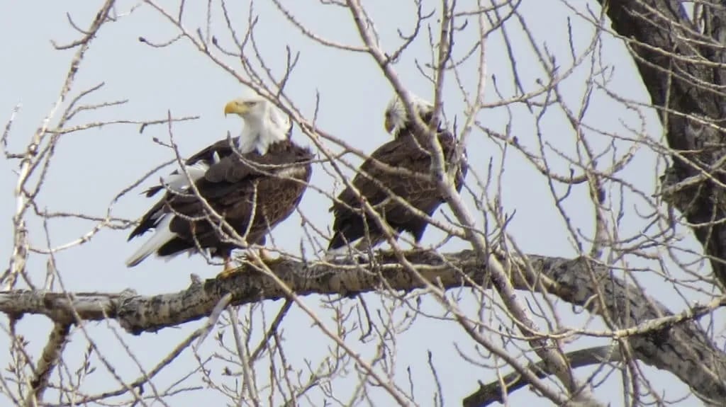 Riverbend Campground gallery 3
