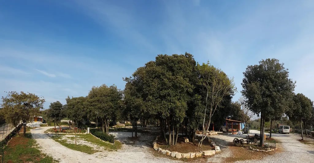 Val Vidal Camping gallery 3