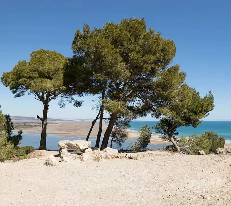 Camping Cap du Roc gallery 1