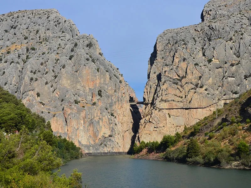 Olive Branch El Chorro gallery 1