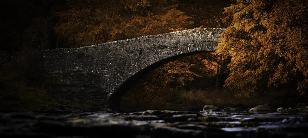 Knight Stainforth Caravan and Camping Park