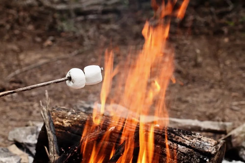 Time Away RV Resort gallery 2