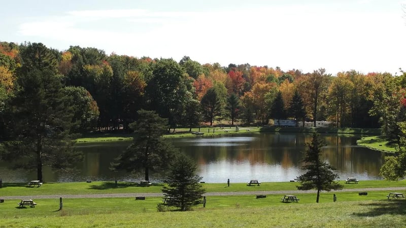 Pine Valley Recreational Vehicle Park and Campgrounds gallery 1