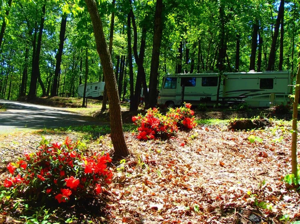 Naval Recreation Site gallery 2