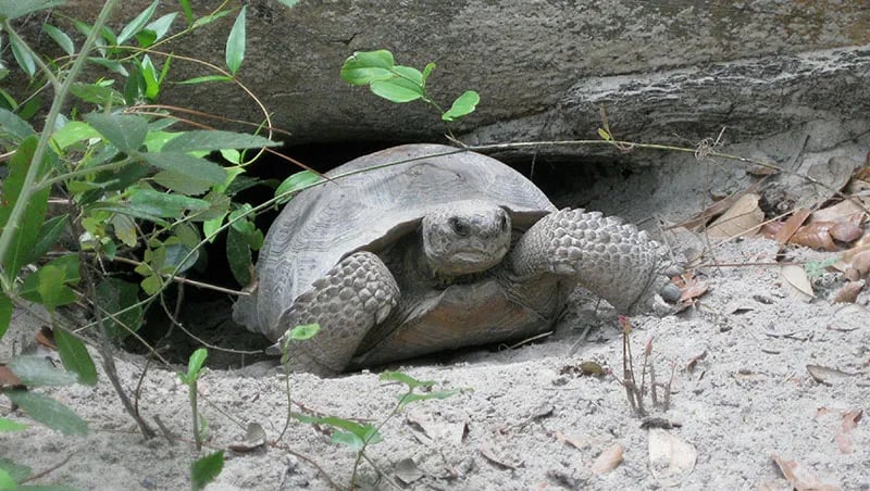 Terrora Park Campground