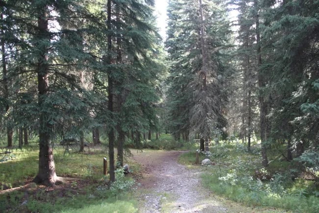 Yukon river Campground