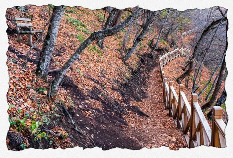 Ioannina Camping- Glamping gallery 2