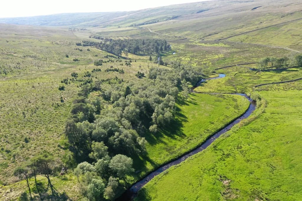 Nethergill Farm gallery 1