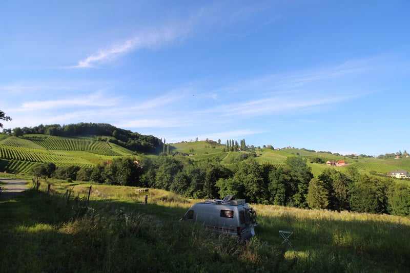 WINEŽ wild culture